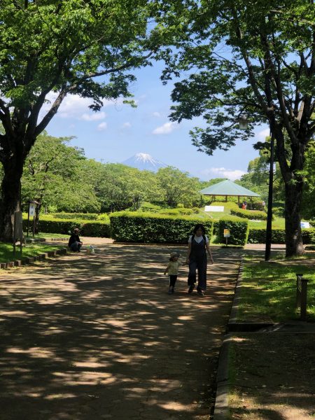 振りむく子片手抱きして夏めけり